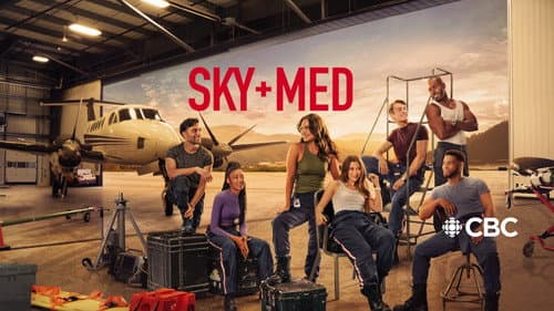 SkyMed still