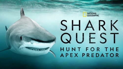 Shark Quest: Hunt For The Apex Predator still