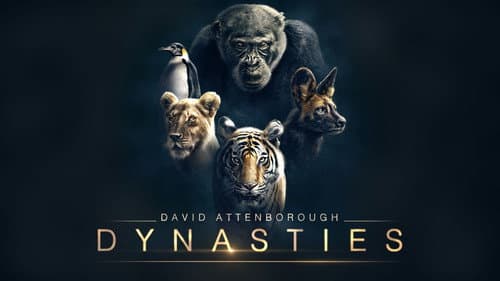 Dynasties still