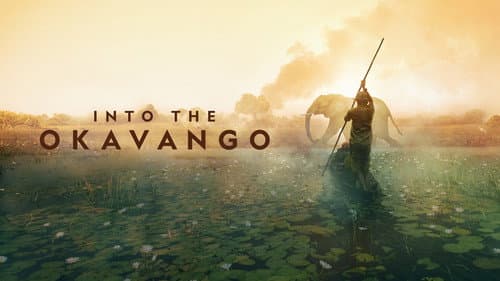 Into the Okavango still