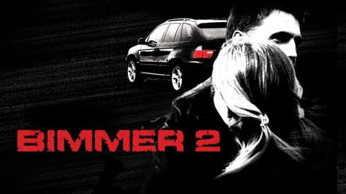 Bummer 2 still