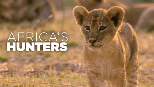 Africa's Hunters still