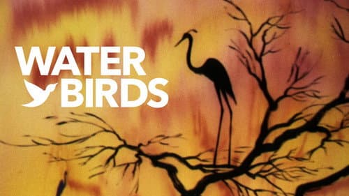 Water Birds still