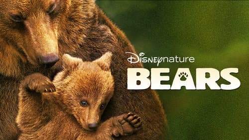 Bears still
