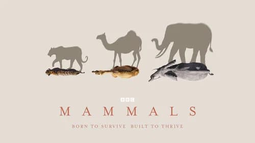 Mammals still