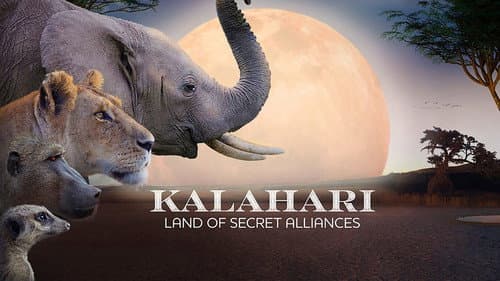 Kalahari: Land of Secret Alliances still