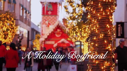 A Holiday Boyfriend still