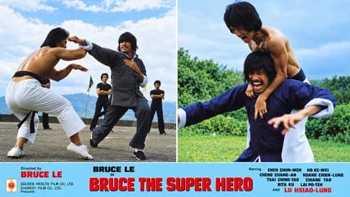 Bruce the Super Hero still