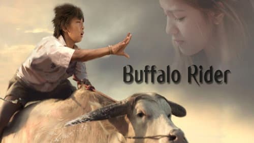 Buffalo Rider still