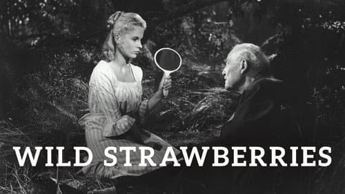 Wild Strawberries still
