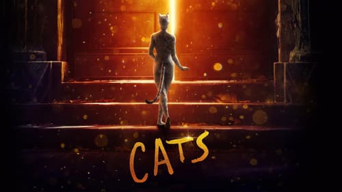Cats still