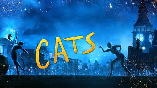 Cats still
