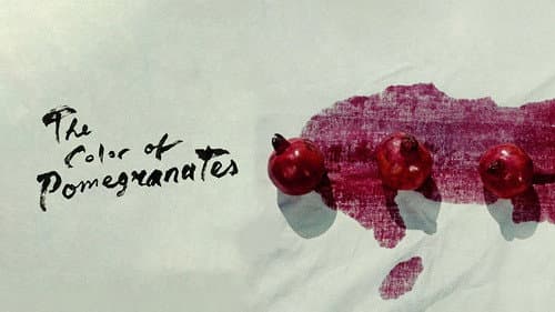 The Color of Pomegranates still