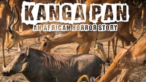 Disparitions autour du Kanga Pan still