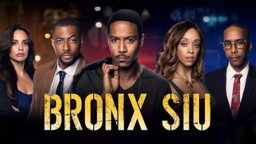 Bronx SIU still