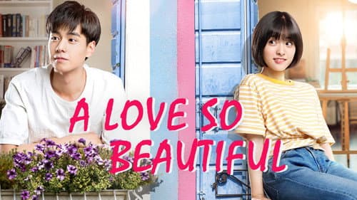 A Love So Beautiful still
