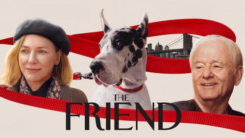 The Friend still