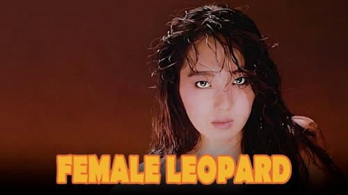 Female Leopard still