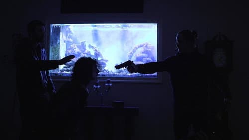 49:5ive still