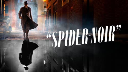 Spider-Noir still