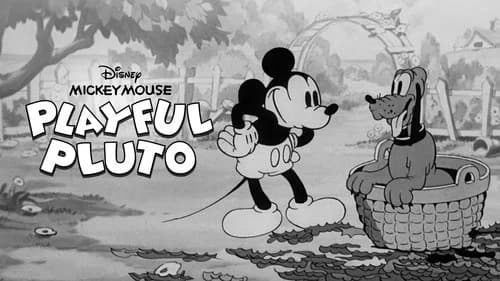 Playful Pluto still