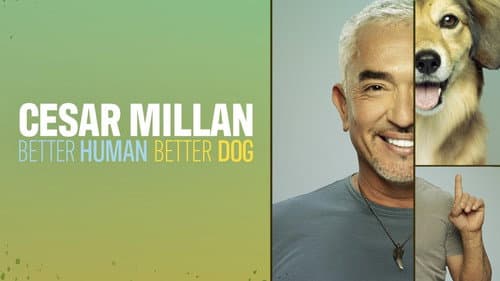 Cesar Millan: Better Human, Better Dog still