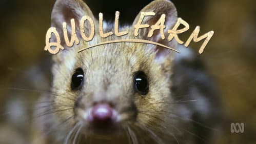 Quoll Farm still