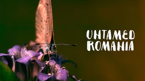 Untamed Romania still