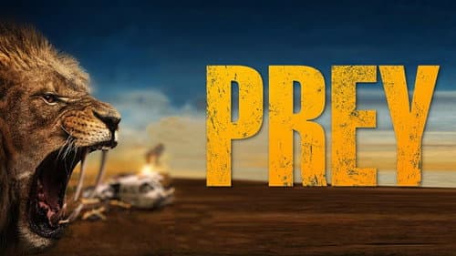 Prey still