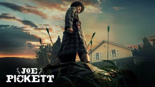 Joe Pickett still