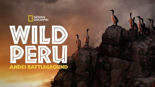 Wild Peru: Andes Battleground still
