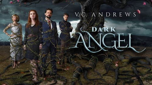 Dark Angel still