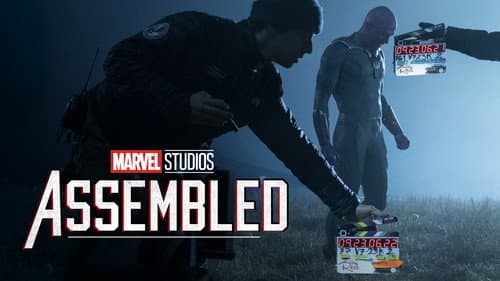 Marvel Studios Assembled still