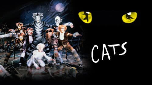 Cats still