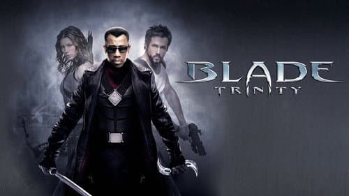 Blade: Trinity still