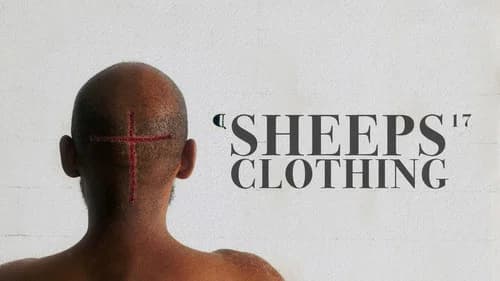 Sheeps Clothing still