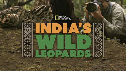 India's Wild Leopards still
