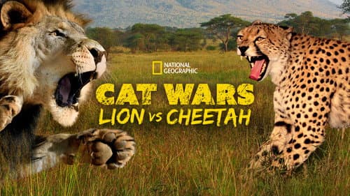 Cat Wars: Lion vs. Cheetah still