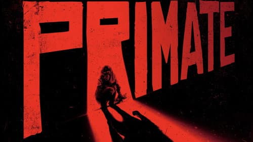 Primate still