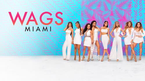 WAGS Miami still