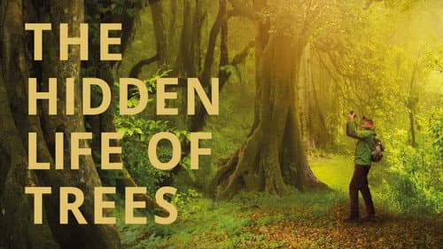 The Hidden Life of Trees still