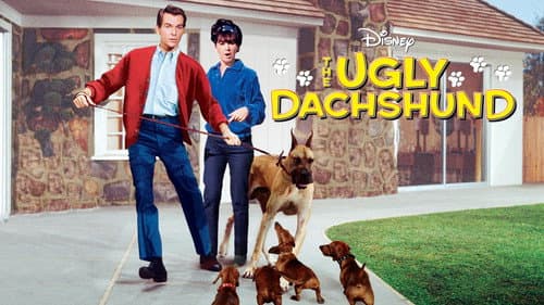 The Ugly Dachshund still