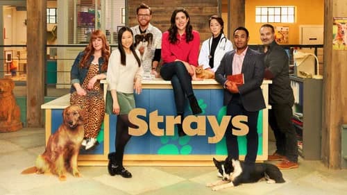 Strays still