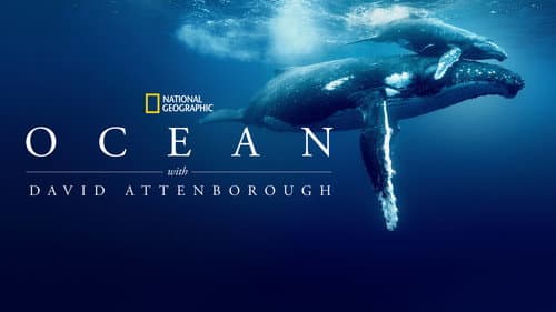 Ocean with David Attenborough still