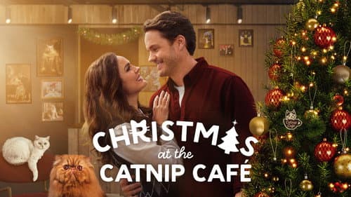 Christmas at the Catnip Café still