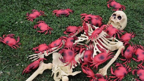 Cocaine Crabs From Outer Space still