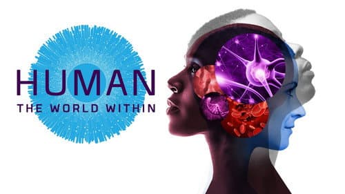 Human: The World Within still