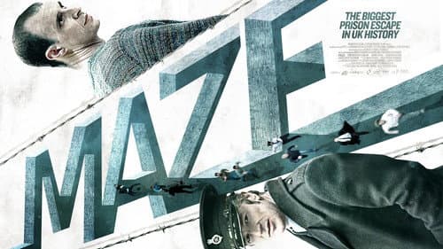 Maze still