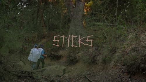 Sticks still