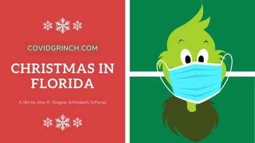 Christmas In Florida still
